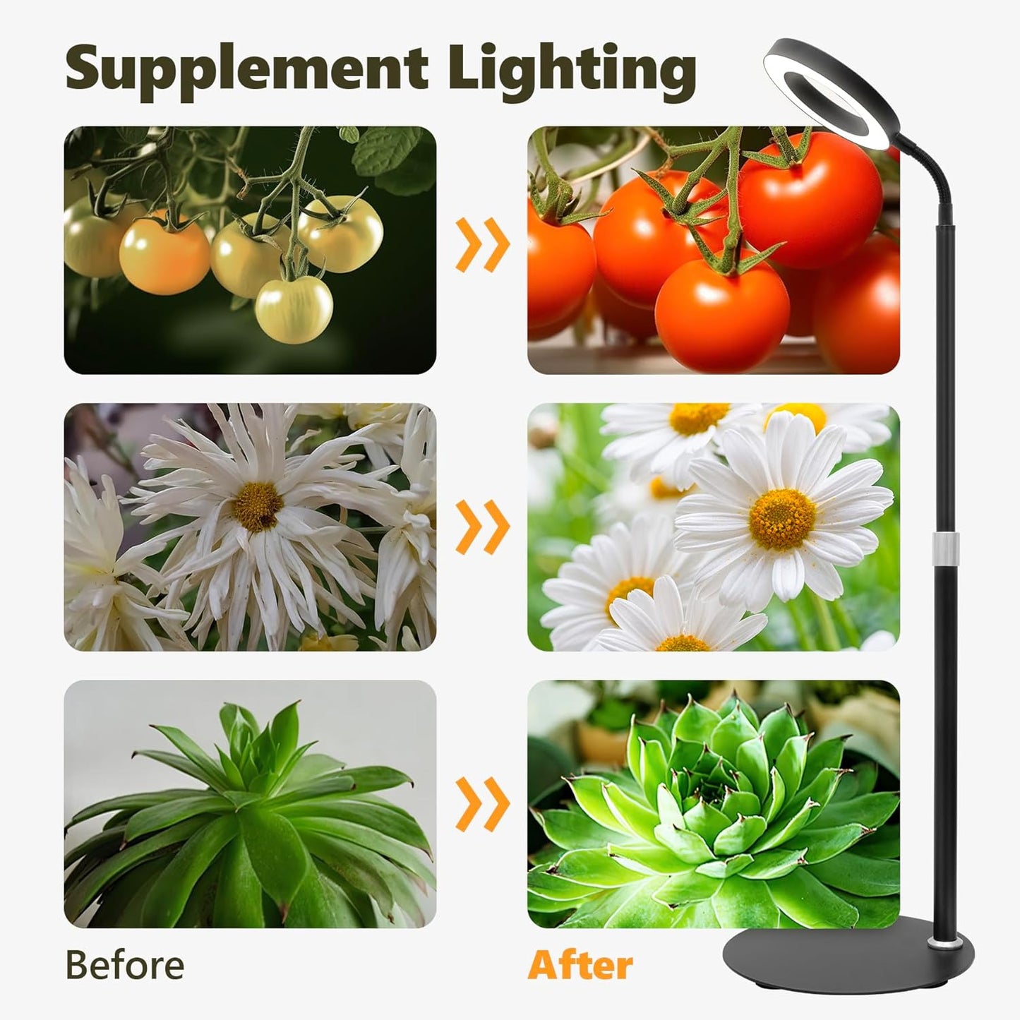 Desk Top Grow Lights for Indoor Plants,Full Spectrum Table Plant Light,24.2" Telescope Stand,UV LED Red Blue Halo Growing Lamp,Adjustable Gooseneck,Auto Timer,3 Lighting Modes,10-Level Dimmable