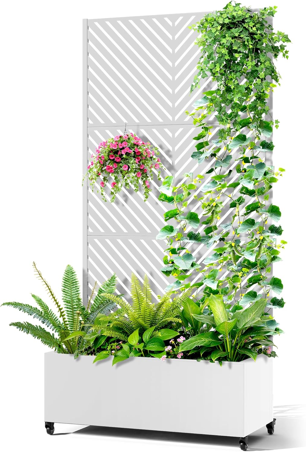 Metal Raised Garden Bed with Trellis, 2-in-1 Planter Box & Privacy Screen for Climbing Plants, Outdoor Standing Flower Bed with Drainage Holes, 35.4" L x 15.7" W x 70.1" H, White-Parallel