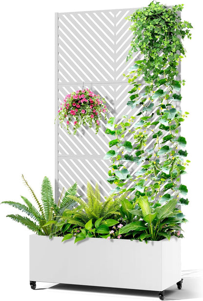 Metal Raised Garden Bed with Trellis, 2-in-1 Planter Box & Privacy Screen for Climbing Plants, Outdoor Standing Flower Bed with Drainage Holes, 35.4" L x 15.7" W x 70.1" H, White-Parallel