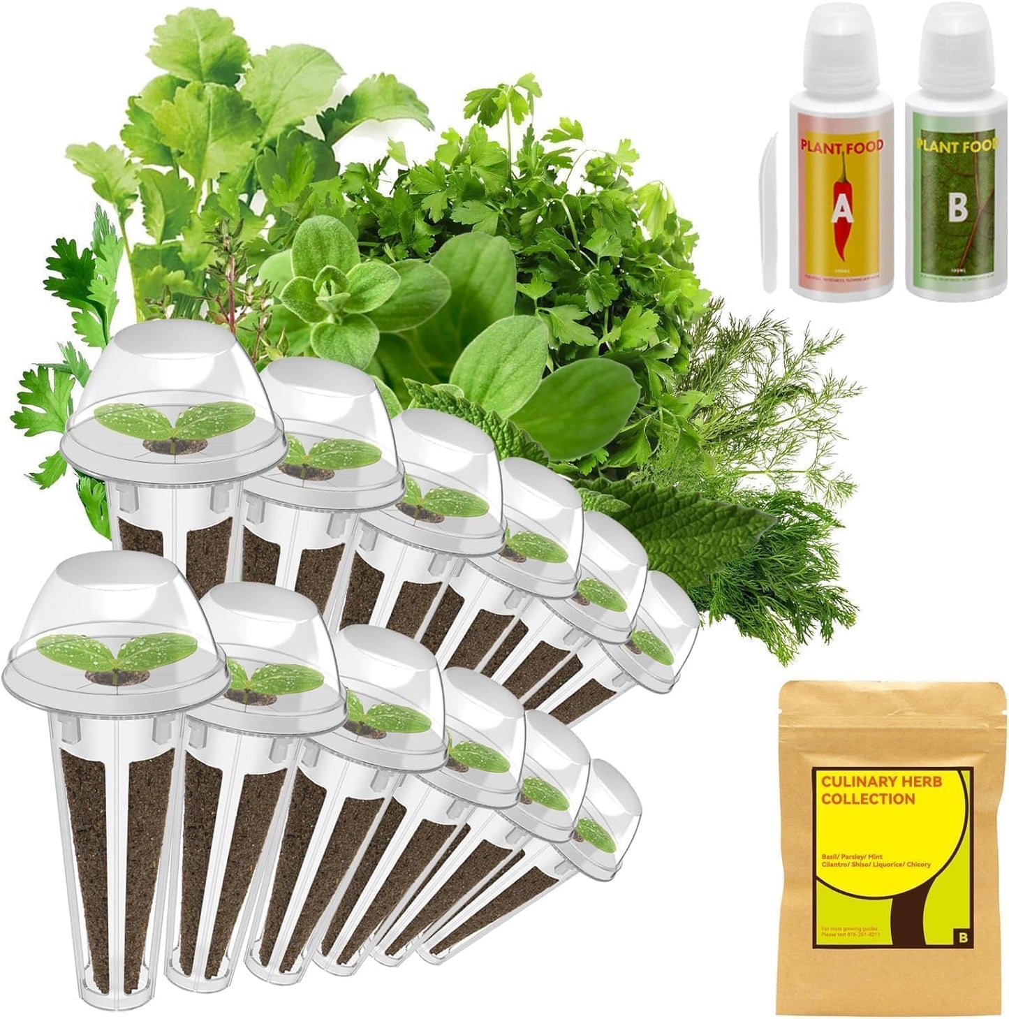 inbloom Culinary Herbs Seed Pod Kit for Hydroponics Growing System, 12 Pods (350+ Seeds with Basil, Parsley, Shis0, Liquorice, Mint, Cilantro, and Chic0ry)