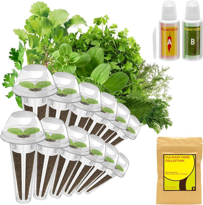 inbloom Culinary Herbs Seed Pod Kit for Hydroponics Growing System, 12 Pods (350+ Seeds with Basil, Parsley, Shis0, Liquorice, Mint, Cilantro, and Chic0ry)