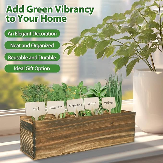 5 Herb Garden Planter Indoor with Wooden Box, Home Kitchen Seed Starter Kit Including Dill, Cilantro, Oregano, Sage, Chives, Birthday, Mothers Day, House Warming, Gardening Gifts for Women, Mom