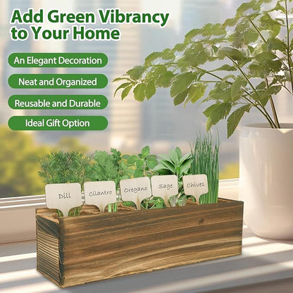 5 Herb Garden Planter Indoor with Wooden Box, Home Kitchen Seed Starter Kit Including Dill, Cilantro, Oregano, Sage, Chives, Birthday, Mothers Day, House Warming, Gardening Gifts for Women, Mom