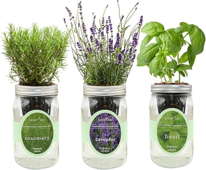 Hydroponic Herb Growing Kit Set, Self-Watering Mason Jar Herb Garden Starter Kit Indoor, Grow Your Own Herbs from Seeds (Lavender, Rosemary & Basil)