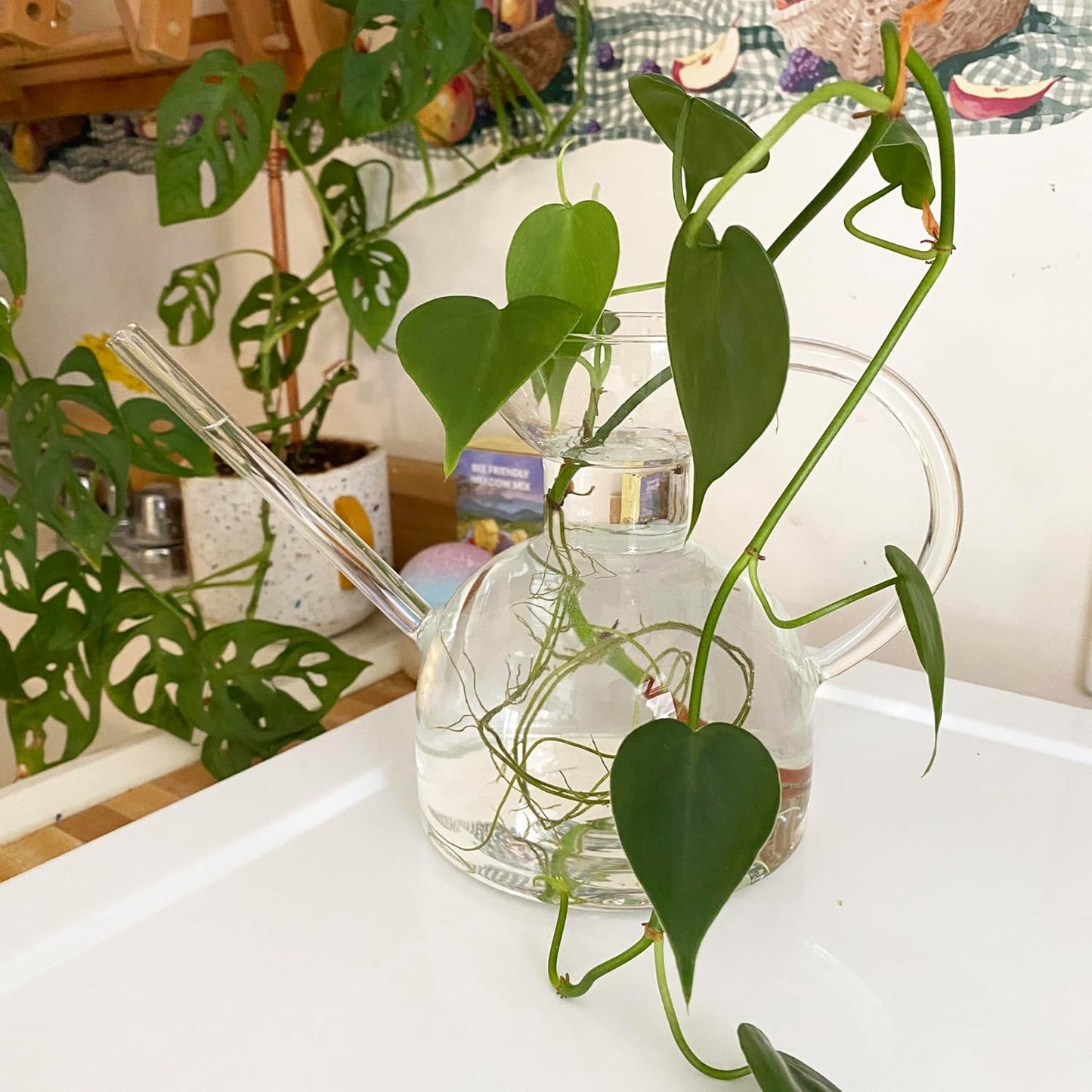 Modern Sprout Plant Watering Can - Handcrafted from Borosilicate Glass - Long Spout Vessel for Indoor Plants - 32 Oz Capacity - Multipurpose Watering Can and Flower Vase for Houseplants (Clear)