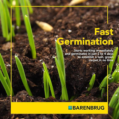 Barenbrug Winter Wonderlawn Grass Seed for Southern Lawns, Fast-Acting Durable Grass Seed Mix for All Weather Conditions, 25-lb. Bag