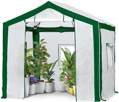 EAGLE PEAK 8x8 Portable Walk in Greenhouse with Polyester Reinforced Corners, Heavy Duty Instant Pop Up Indoor Outdoor Green House, Front Roll Up Zipper Entry Door and Mesh Windows, Green/White
