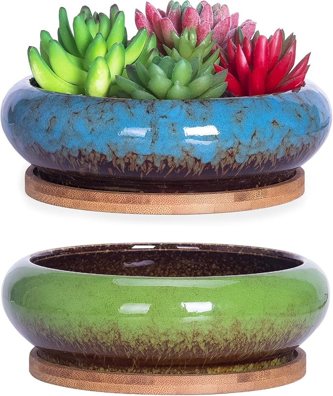 ARTKETTY Succulent Pots, 7.3 Inch Succulent Planters with Drainage Pack of 2, Shallow Bonsai Pot with Tray Ceramic Pots for Indoor Plants Large Cactus Flower Plant Bowl