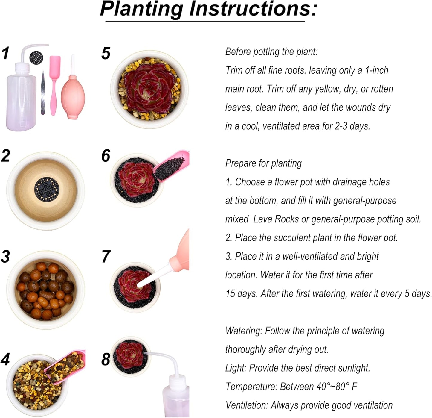 Lithops Large Random Mix Rare Live Succulent Plants, 10 Pcs Succulent Live Plant, Bare Root Without Pot & Soil, Indoor Office Desk Decoration, Friend Plant Lovers Gifts