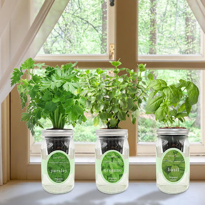 Hydroponic Herb Growing Kit Set, Self-Watering Mason Jar Herb Garden Starter Kit Indoor, Window Herbs Garden, Grow Your Own Plants from Organic Seeds (Basil, Parsley and Oregano)