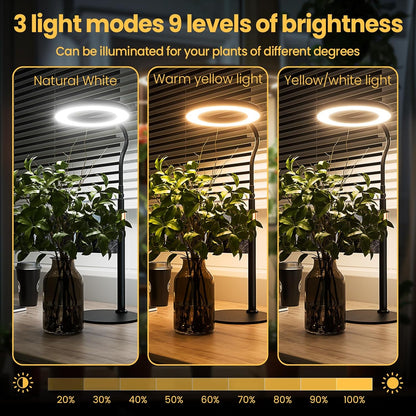 bseah Grow Light, LED Plant Light for Indoor Plants Growing, Full Spectrum Desk Grow Lamp with Pedestal, Automatic Timer for 3H/9H/12H, 10 Dimmable Levels, Height Adjustable