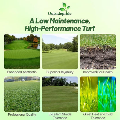 Outsidepride Crystal Bluelinks Creeping Bent Grass Seed - 25 lbs. Dense Turf Grass for Golf Greens & Putting Surfaces, Fine-Textured, Tolerant to Close Mowing for Smooth, Consistent Lawn Coverage