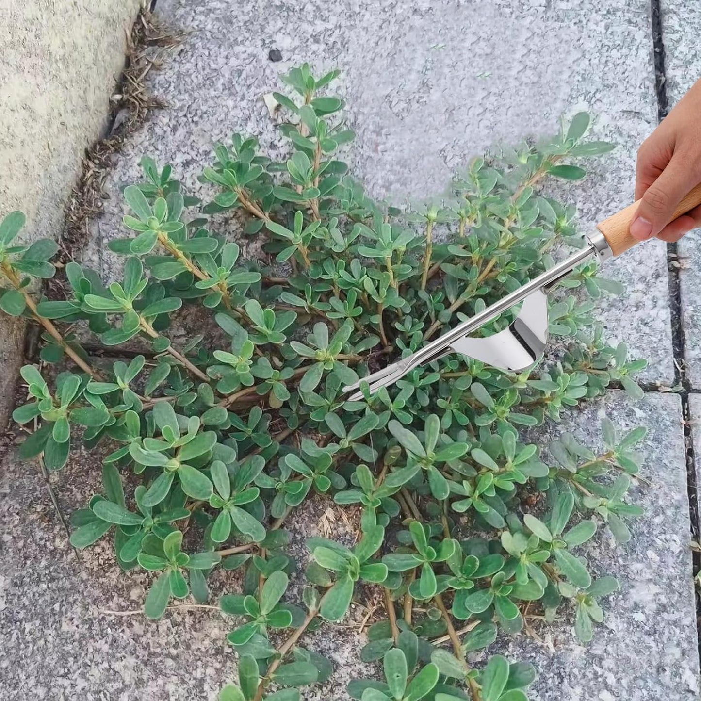 Hand Weeder Tool Garden Weeding Tool, Uprooting Weeding Tool Gardening Weeder Tool, Stainless Steel Gardening Tools for Yard and Garden, 3 Pcs