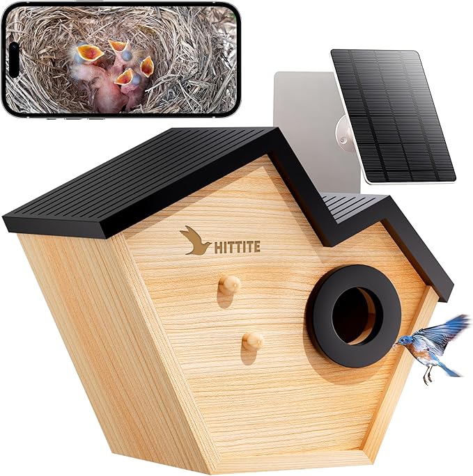 HITTITE Bird House with Camera, 2K HD Solar Powered Bird Houses for Outside with AI Identify, Auto Detect & Notify, Night Vision, Outdoor Birdhouse with Camera for Blue Bird & Other Backyard Birds