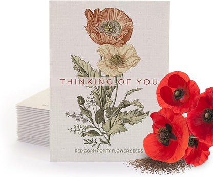 Bentley Classic Vintage Art Poppy Packets, Thinking of You Flanders Corn Seeds, Thoughtful Illustrated Flower Design, Eco-Friendly Hand Out, Sentimental Gift, 25 Pack