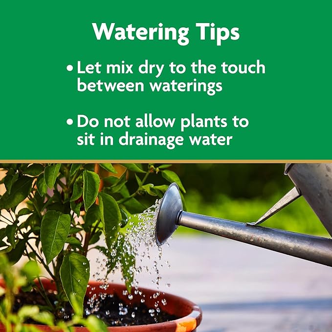 Miracle-Gro Potting Mix, For Container Plants, Flowers, Vegetables, Shrubs, Annuals, Perennials, Feeds up to 6 Months, 8 qt., 2-Pack