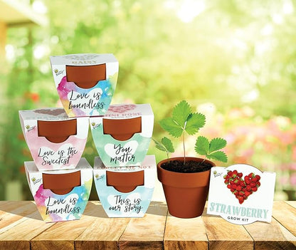 BUZZY Seeds Indoor Flower Starter Kit – Terracotta Mini Grow Pots for Kids & Adults, 6-Pack Love Collection – DIY Windowsill Gardening Kit, Wedding Favors, Party Favors, Bridal Shower Gifts