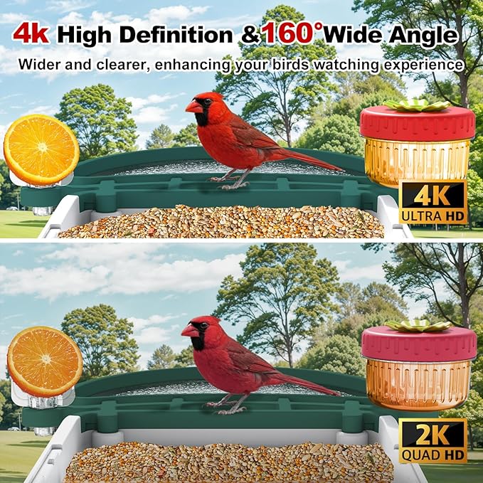 Bird Feeder Camera with 4K HD, App Alerts & Two-Way Audio, Solar Panel, 32GB Card 4-in-1 Perch, 160° View, Auto Detect & AI Identify - Wireless Outdoors Weatherproof Design (Light Green)