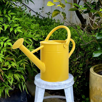Metal Watering Can with Removable Spout, Galvanized, Perfect for Indoor and Outdoor Use (1 Gallon, Yellow)