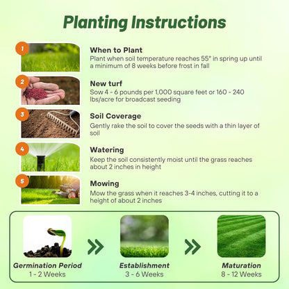 Outsidepride Showtime Perennial Lawn Grass Seed Mix - 25 lbs. Premium Blend of Creeping Red Fescue, Rye Grass & Kentucky Bluegrass Seed for Sports Fields, OptiGrowth Coated for Better Establishment