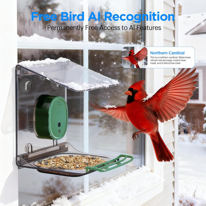 Smart Bird Feeder with Camera Solar Powered,2K HD Video Live Stream,AI Identify Birds Species,Link via Signal Transmitter,5MP Photos,Instant Arrival Alerts,Motion Detect,Elderly-Friendly,Green