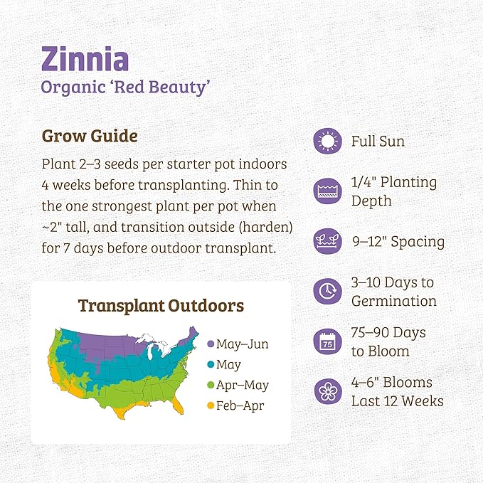 Back to The Roots 100% Organic Heirloom Seeds - Zinnia Flowers Value Pack (420mg Total)