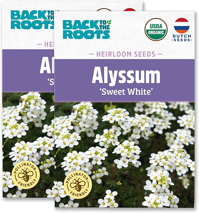 Back to The Roots 100% Organic Heirloom Seeds - Alyssum Flowers Value Pack (200mg Total)