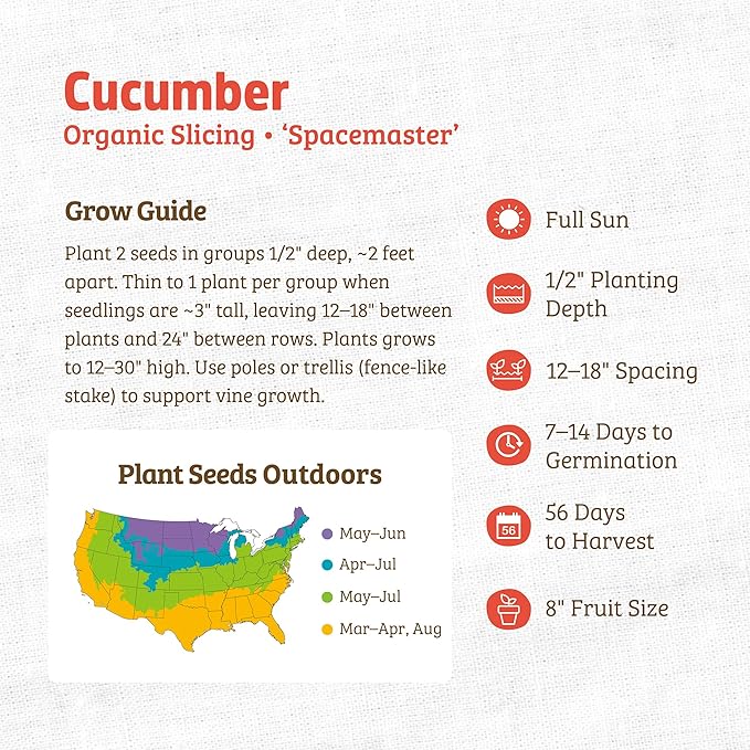 Back to The Roots 100% Organic Heirloom Seeds - Compact Cucumber Seeds for Planting Value Pack (3g Total)