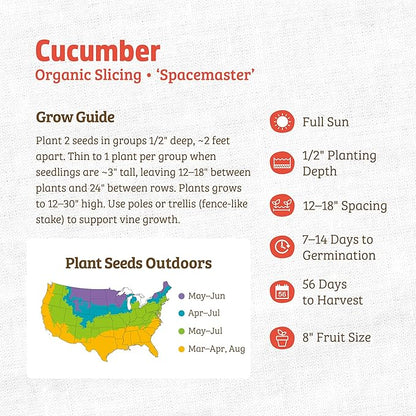 Back to The Roots 100% Organic Heirloom Seeds - Compact Cucumber Seeds for Planting Value Pack (3g Total)