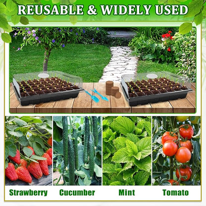 Halatool 2 Pack Seed Starter Trays with 80 Pcs Coco Pellets, Greenhouse Indoor Seed Germination System for Herbs Vegetables Flowers, Seed Starter Kit