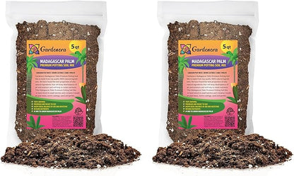 Gardenera Madagascar Palm Plant Potting Soil - All-Natural Blend for Thriving Palms - Boosts Root Health and Distinctive Elegance - 10 Quart