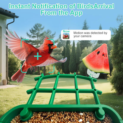 Smart Bird Feeder with Camera,AI Identify Birds Species,Auto Record 2K Birds Video in Backyard Garden,Live View,Instant Notifications，Solar Powered Charging,Ideal Gift for Family and Bird Lovers