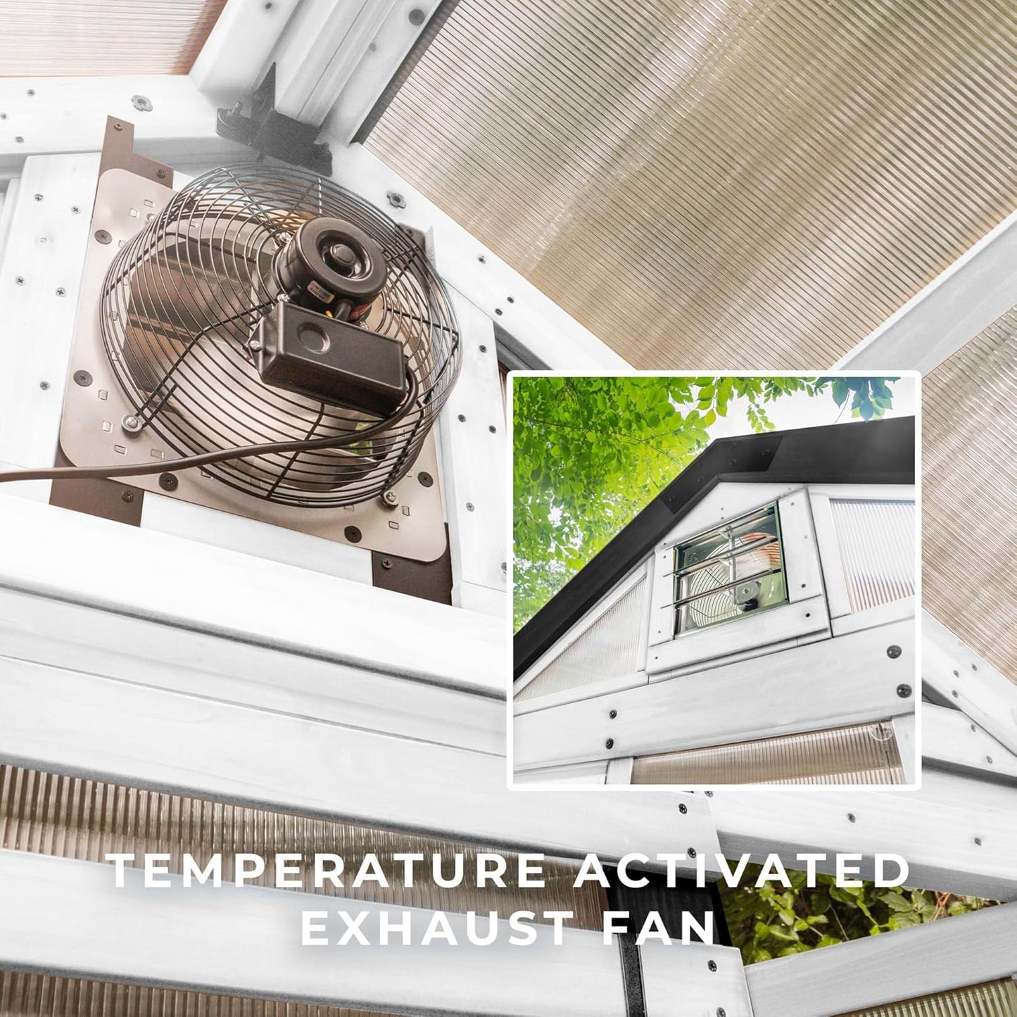 Backyard Discovery Bellerose 9' x 6' White Cedar Wood and Polycarbonate Walk-in Greenhouse Kit with Pergola, Exhaust Fan, Window, Hose Hook-Ups, PowerPort, Staging Shelves for Outdoor Gardening