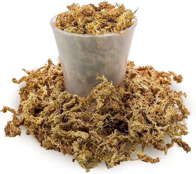 Premium New Zealand Sphagnum Moss by Gardenera - Organic Hand Mixed Long Fibered Sphagnum Moss Orchid - 5 Quart