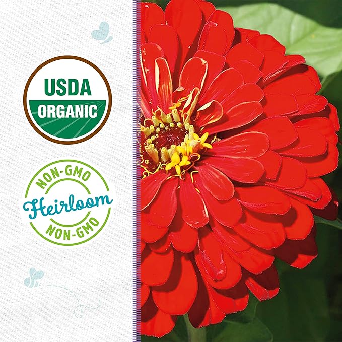 Back to The Roots 100% Organic Heirloom Seeds - Zinnia Flowers Value Pack (420mg Total)