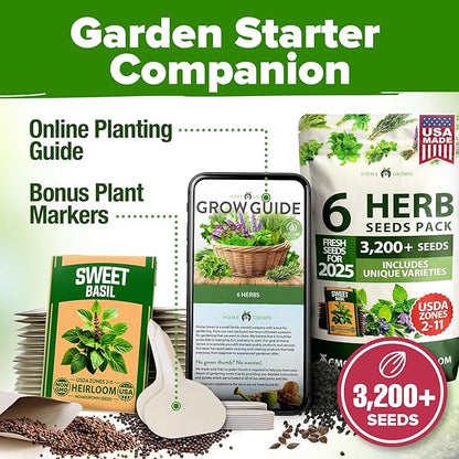 HOME GROWN 6 Herb Seeds for Planting 3,200+ Non-GMO Heirloom Seeds | Extra Large Variety Pack Herb Kit – Indoor Outdoor & Hydroponic | Culinary Seed Set | Grow Your Own Herbs | Gift for Beginners
