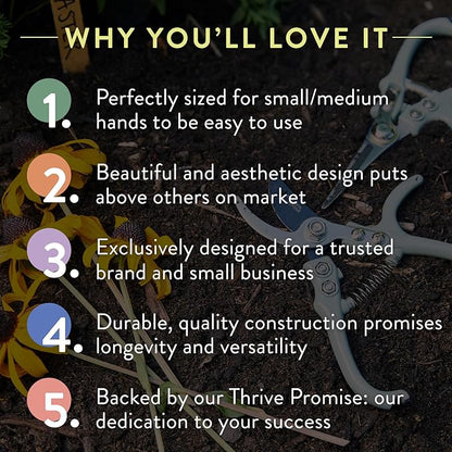 Modern Sprout Pruning Shears - Herb Snipping Scissors- Lightweight Gardening Tools W/Easy Lock - Flower Cutter Garden Shears - Carbon Steel Blade + Reusable Holster (Ocean, 1-Pack)