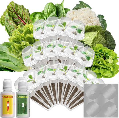 LYKOCLEAN Mix Salad Seed Pods for Aerogarden, Ahopegarden, iDOO Hydroponics Growing System Indoor Herb Garden, 400+ Seeds(18-Pods)