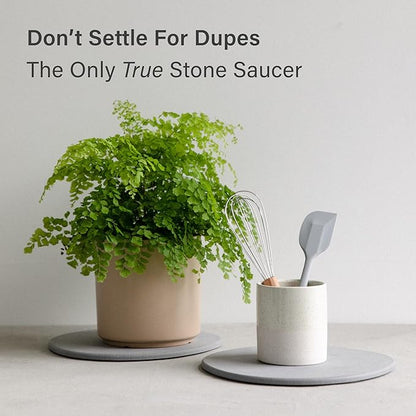 Dorai Stone Plant Pot Saucer – 2 Large Diatomite Water-Catching Trays for Indoor Plants