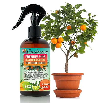 Gardenera Proffesional Citrus Tree Spray Fertilizer Mist for Home Gardening | 3-1-2 Gentle Blend Mist for Healthy Leaves & Growth | Essential Nutrients for Citrus Tree - 8oz