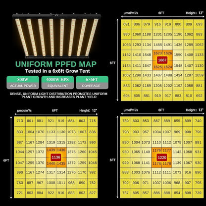 800W LED Grow Light, Full Spectrum Plant Grow Lights, 6 * 6 Ft Coverage Dimmable Daisy Chain Plant Grow Lamp with 8 Light Bar for Indoor Plant Growth, Vertical Farming, Commercial Hydroponic Grow