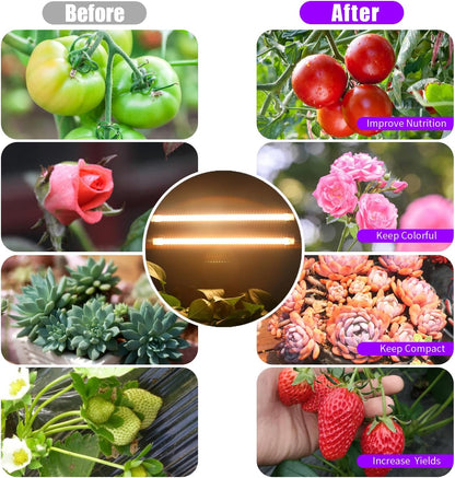 LED Grow Light Strips, Full Spectrum 3500K Plant Growing Lights for Indoor Plants, Plant Lamp for Hydroponics Succulent with 3/9/12H Timer, 10 Dimmable Levels, 3 Head 13 Inches (2 Strip 3 Pack)