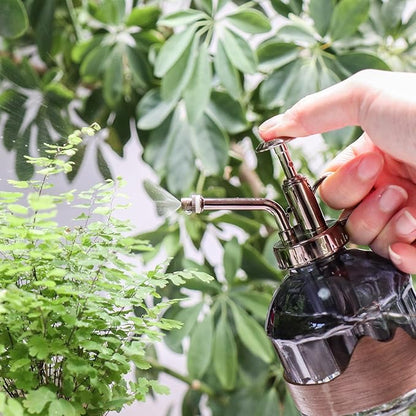 OFFIDIX Glass Plant Mister, 6.3 Inches Tall Vintage Style Spritzer Bronze Plastic Top Pump One Hand Watering Can Indoor Plant Spray Bottle for Garden, Plants, Cleaning (Distant Hill)