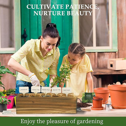 5 DIY Bonsai Tree Kit for Beginners, Complete Indoor Gardening Starter Kit with Seeds, Soils, Pots & Tools, Unique Birthday Gifts Ideas for Women, Men