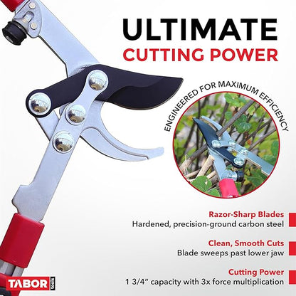 TABOR TOOLS GG21A Extendable Bypass Lopper with Compound Action, 27-40 Inch Telescopic Tree Trimmer, Long Handled Branch Cutter with ⌀ 1 1/2 Inch Cut Capacity, Makes Clean Neat Cuts.