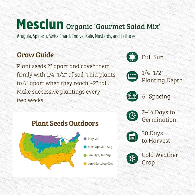 Back to The Roots 100% Organic Heirloom Seeds - Mesclun Young Salad Greens Mix Value Pack (840mg Total)