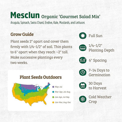 Back to The Roots 100% Organic Heirloom Seeds - Mesclun Young Salad Greens Mix Value Pack (840mg Total)