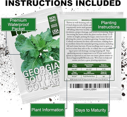 1000+ Georgia Southern Collard Greens Seeds for Planting - Heirloom, Non-GMO, USA Grown