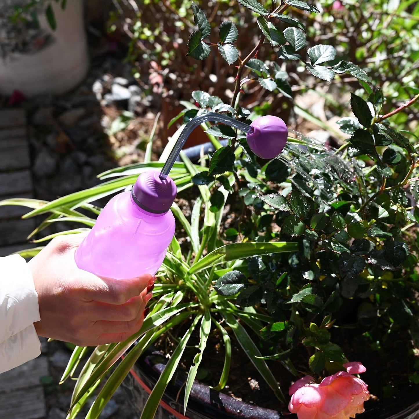 Watering Can for Seedlings, Small Watering Can for House Plant Garden Flower 0.45L (Purple)