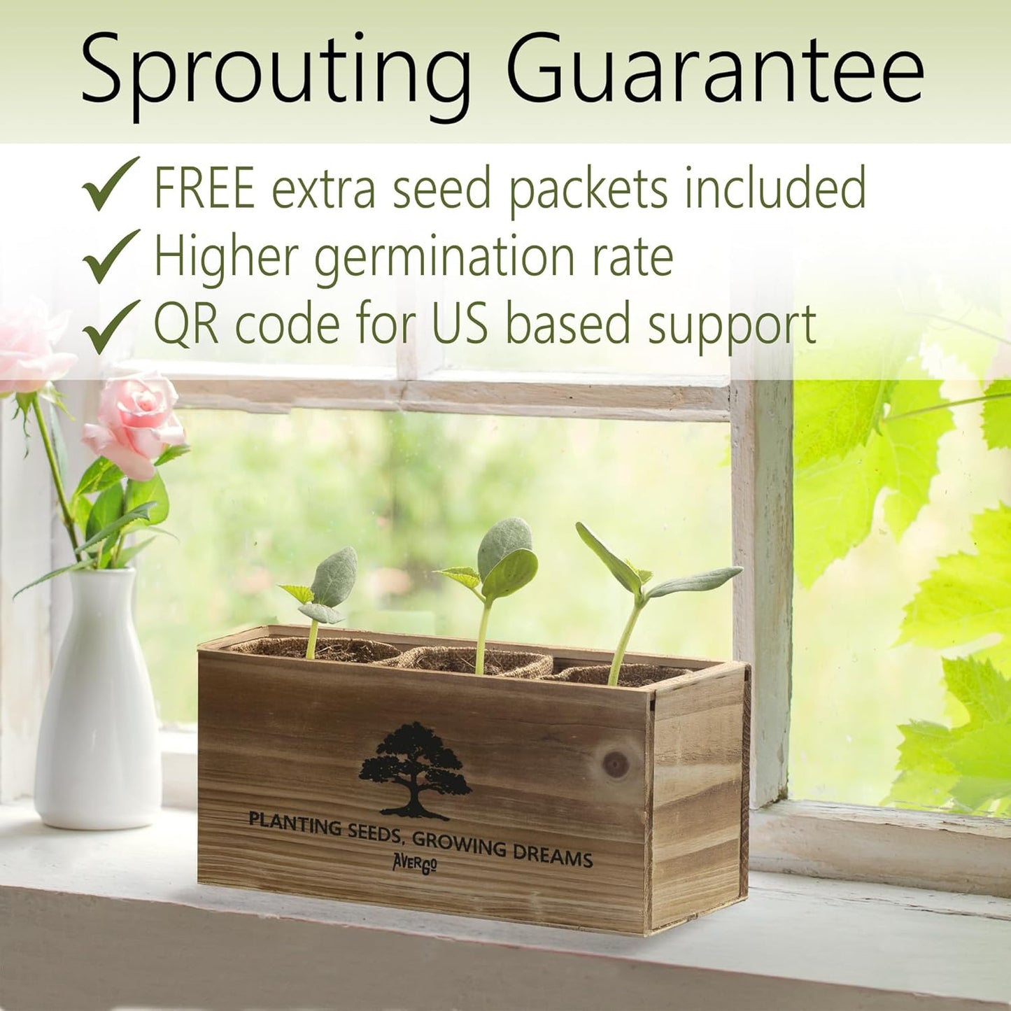 Avergo Bonsai Tree Kit – 3X Unique Japanese Bonzai Trees | Complete Indoor Starter Kit for Growing Bonsai Plants with Tools & Planters – Gardening Gifts for Women & Men